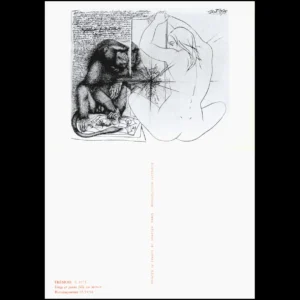 Singe et jeune fille... Draeger 1976 État:★★★★☆