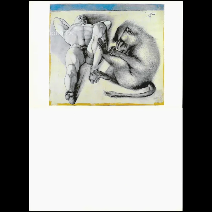 Homme et singe... Draeger 1979 État:★★★★☆