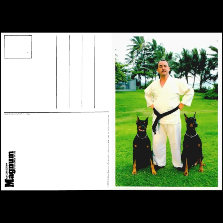 8 Cartes La collecti...   État:★★★☆☆ – Image 4