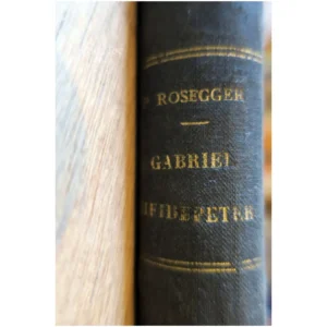 Gabriel Heidepeter Scènes de la vie styr...Rosegger Albert Fontemoing 1904