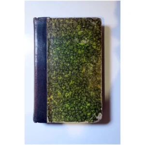 Les derniers jours d...Litton Hachette 1908 État:★★★☆☆