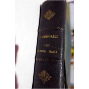 Les grands maux et les grands remèdes Tr...Rengade (Docteur) Librairie Illustrée 1889