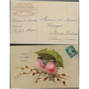 Rouges-gorges sous un parapluie Bonne et...