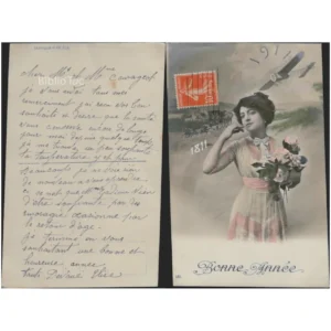 Femme bouquet avion Bonne année...