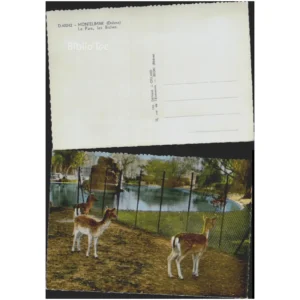 Montélimar Le Parc, les Biches... J. Cellard