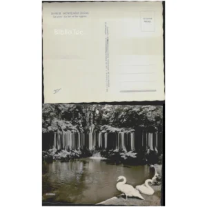 Montélimar Le parc Le lac et les cygnes... La Cigogne