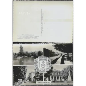 Montélimar Multi-vues Pièce d'eau du Par... Real-Photo