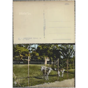 Montélimar Le Parc, les Biches... Les tirages Modernes